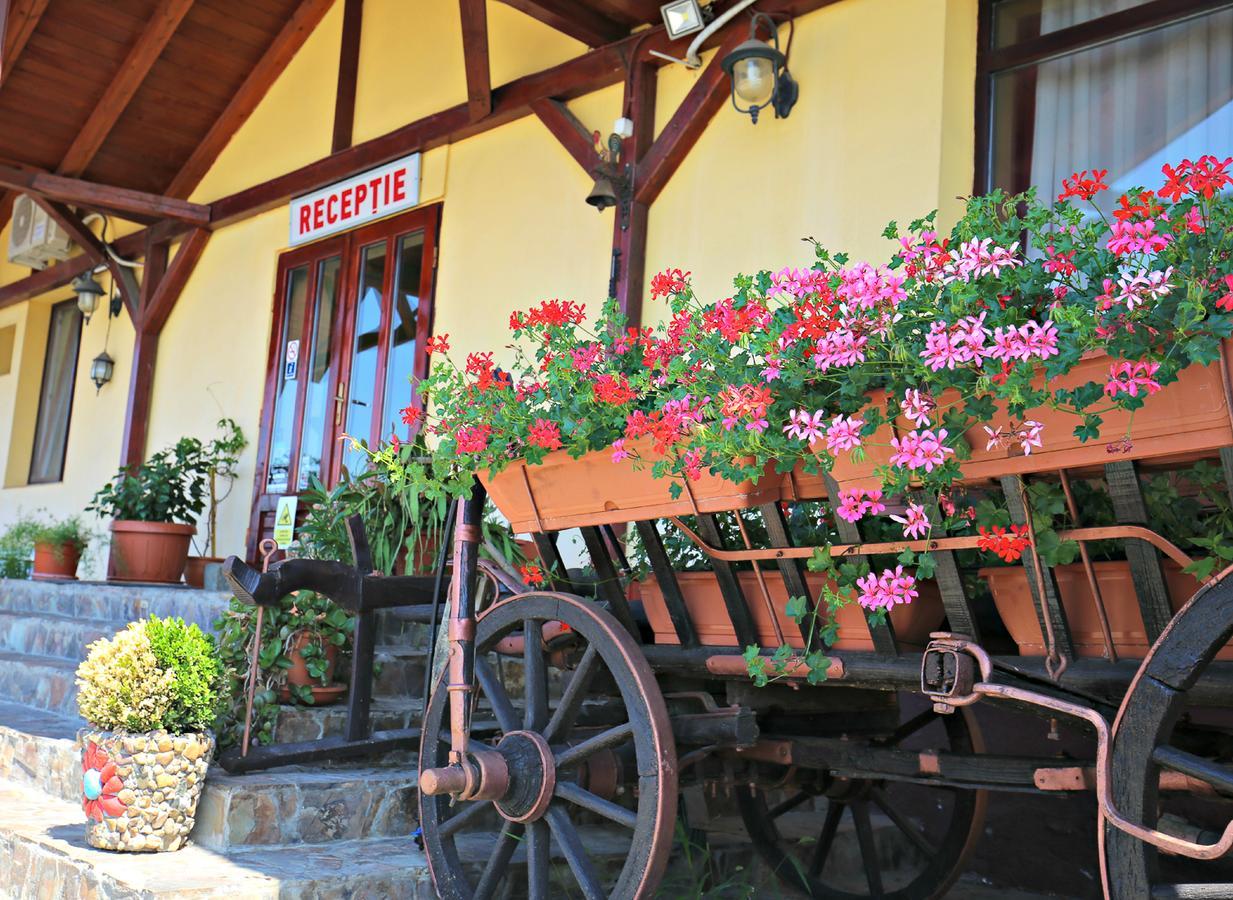 Pension Varadia Gran Varadino Esterno foto